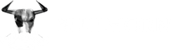 Bullhorn logo